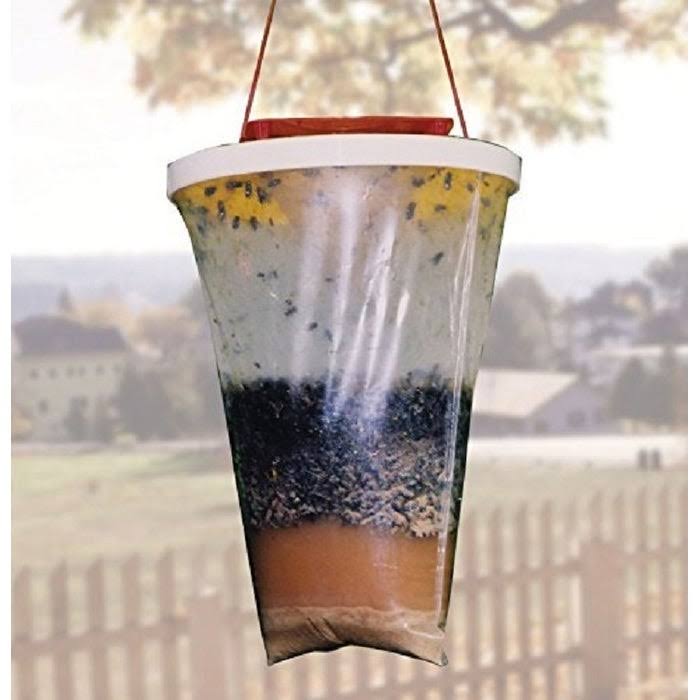 Non Toxic Fly Trap (12-Pack) I938