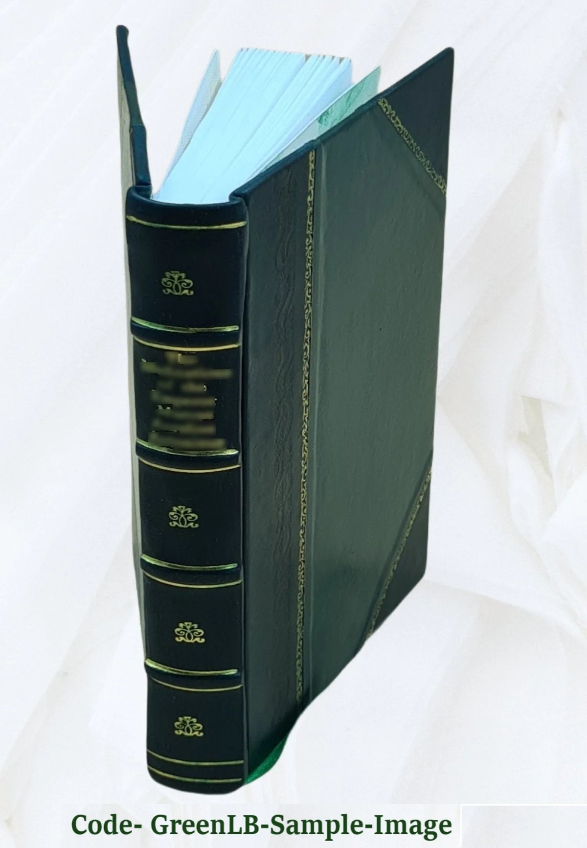 Leather Bound Book H975900