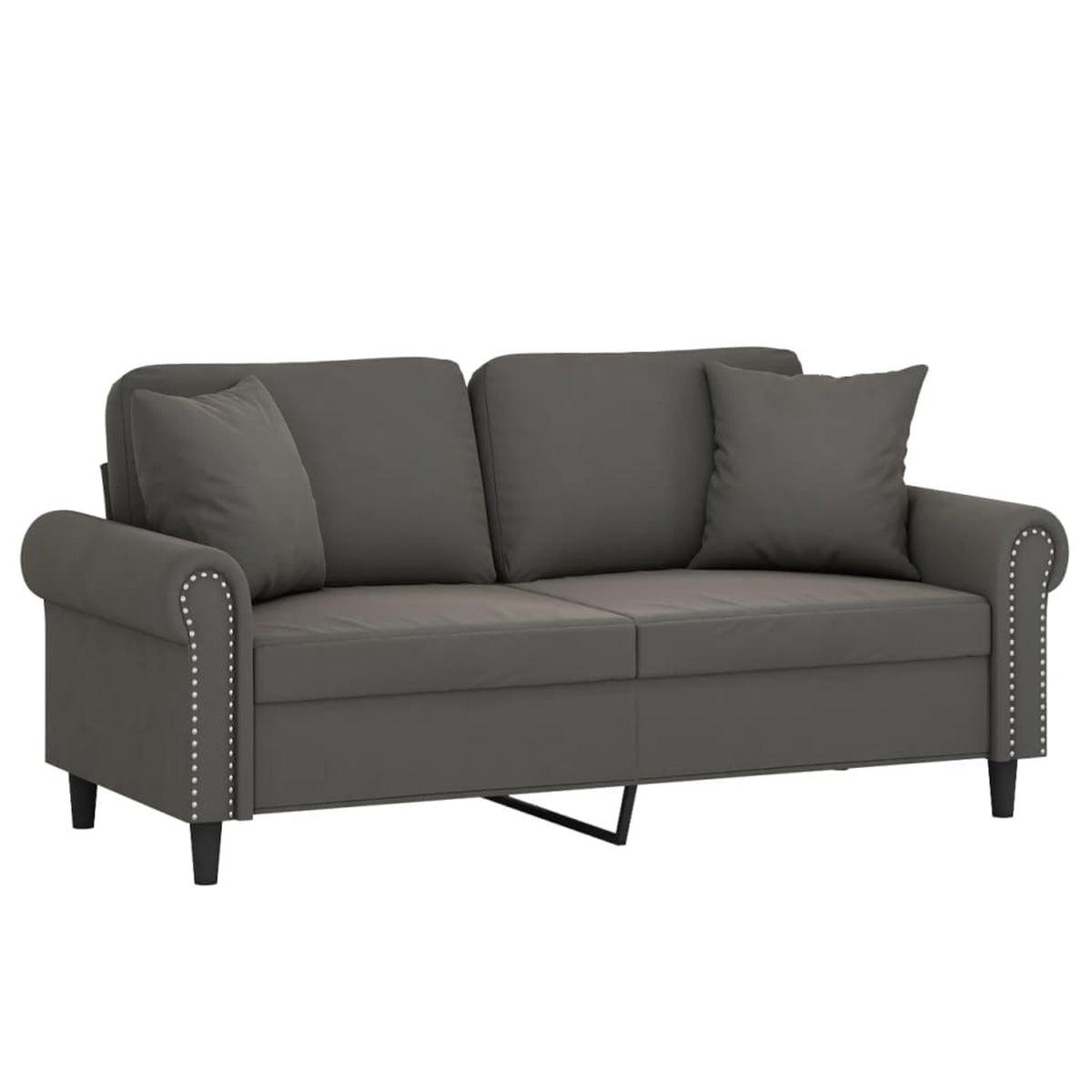 2-Seater Sofa Dark Gray 55.1" T7819