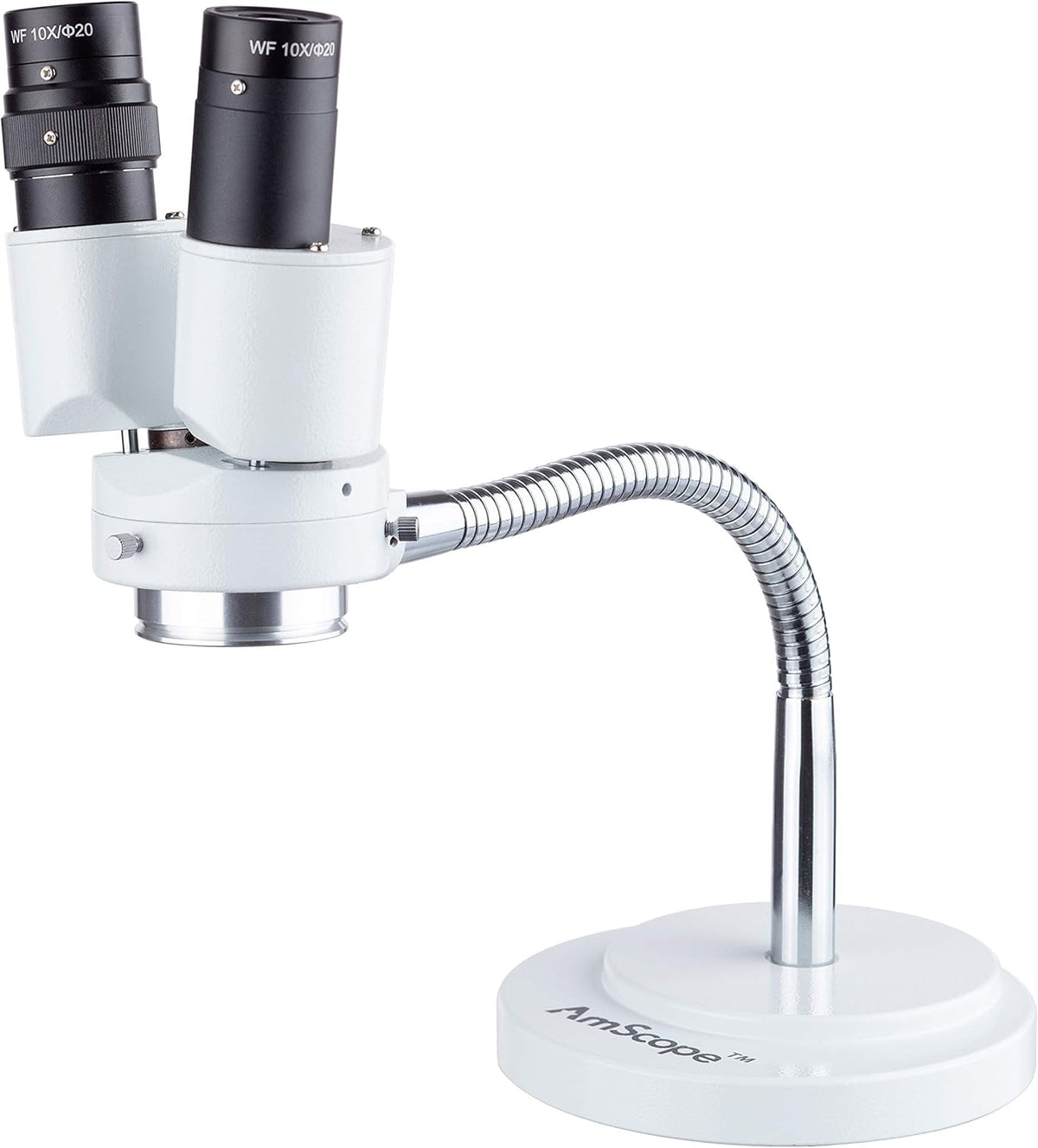 8X Magnification Binocular Stereo Microscope with Gooseneck Illuminator T4591