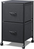 Black 2 Drawer Mobile File Cabinet with Printer Stand N420752