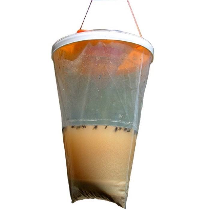 Non Toxic Fly Trap (12-Pack) I938
