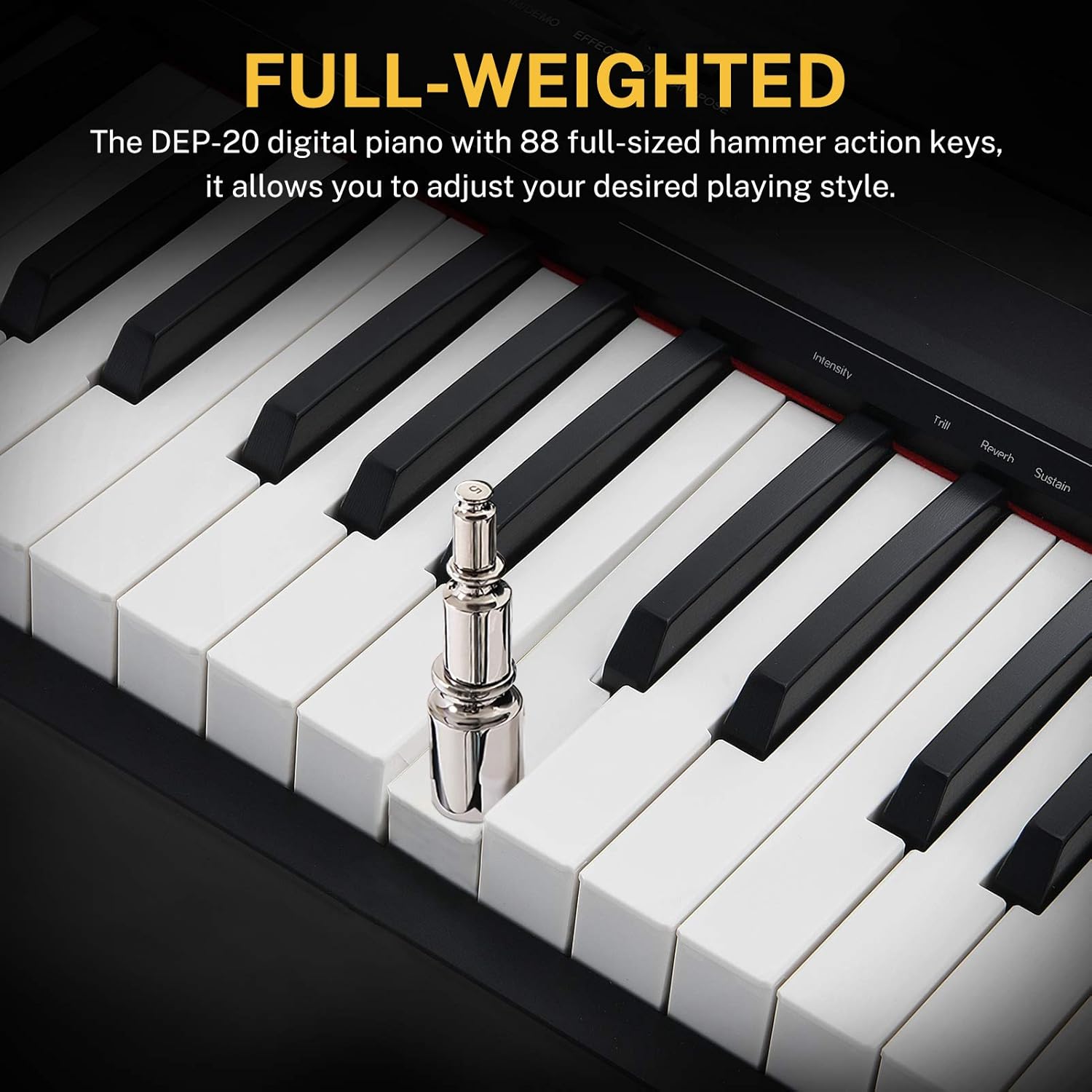88 Key Full Size Weighted Digital Piano with Sustain Pedal R730