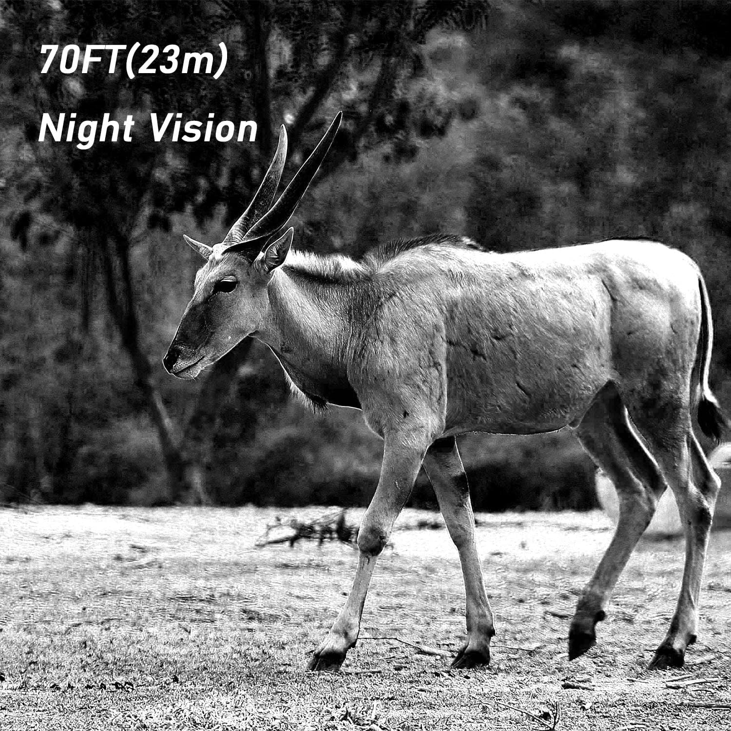 20MP Waterproof Game Camera with Night Vision, Pack of 2 K7782