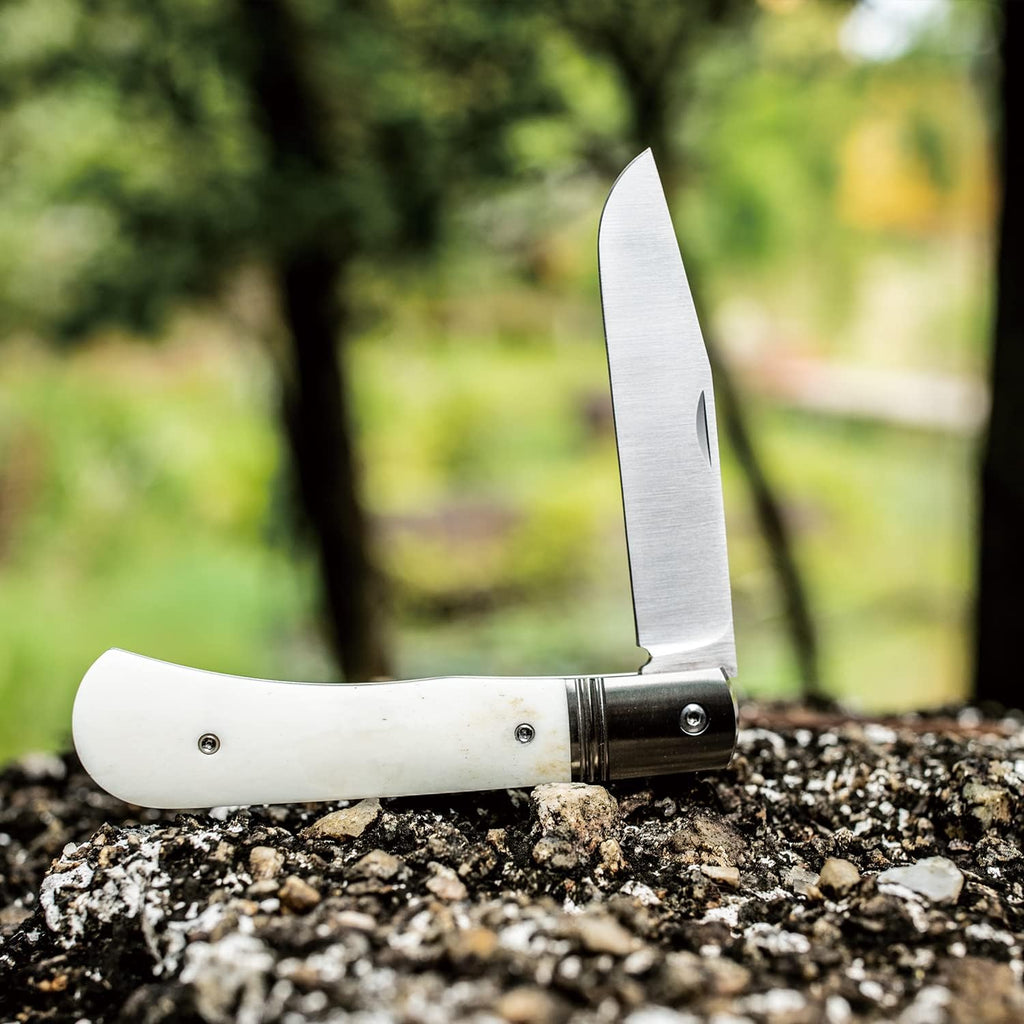 Folding Pocket Barlow Knife with Leather Sheath, 3in Bohler M390 Steel Blade, TC4 Ti Alloy & OX Bone Handle F677