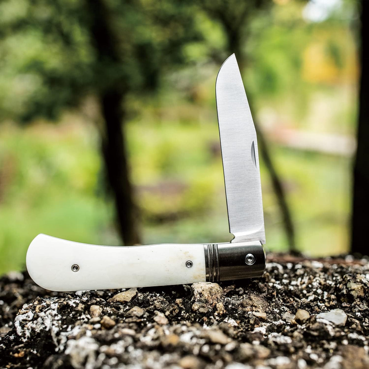 Folding Pocket Barlow Knife with Leather Sheath, 3in Bohler M390 Steel Blade, TC4 Ti Alloy & OX Bone Handle F677