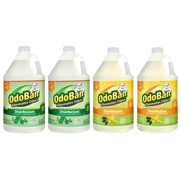128 oz Case of 2 Eucalyptus Scent and 2 Citrus Scent Disinfectant Concentrate P2528