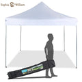10' x 10' Pop Up Canopy Tent D341819