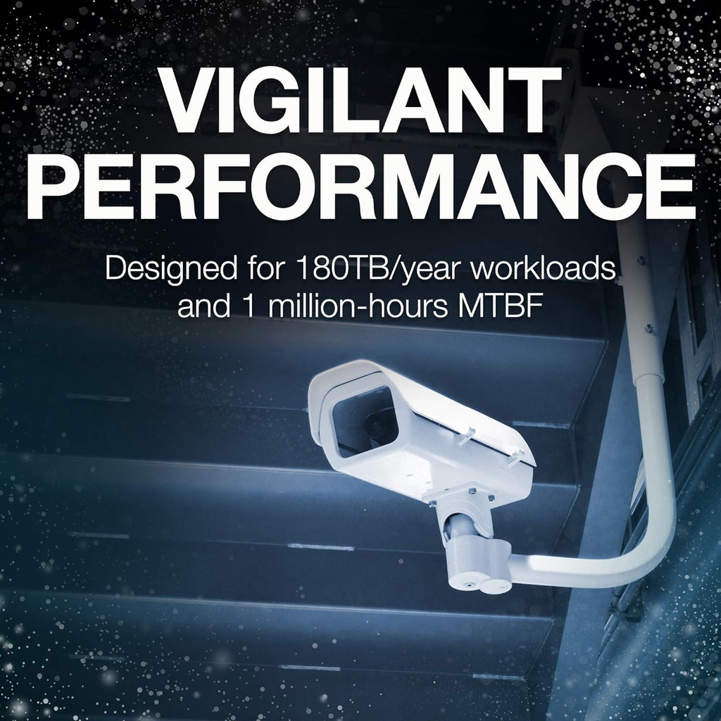 1TB Surveillance Hard Drive T493761