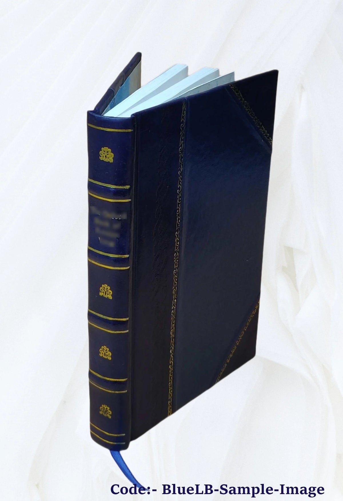 Leather Bound Book K897098