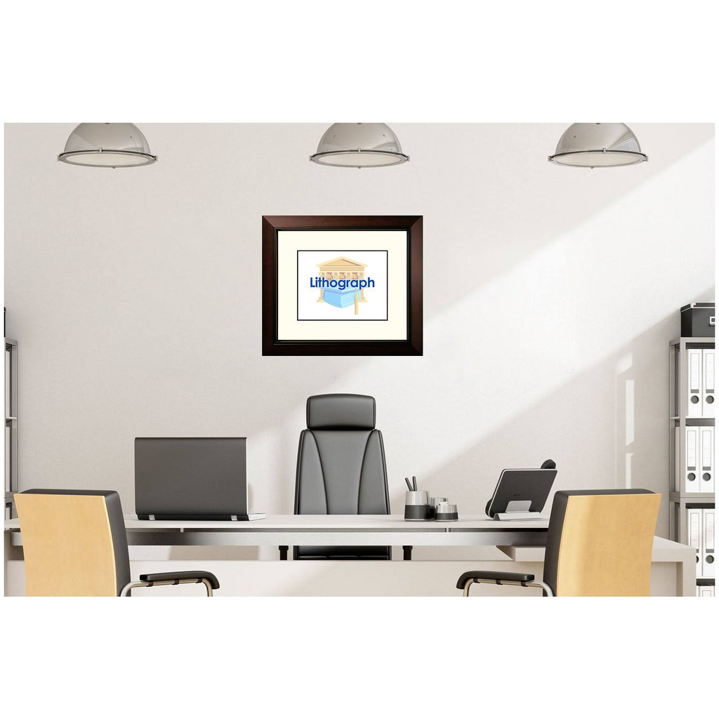 Framed Lithograph Q516280