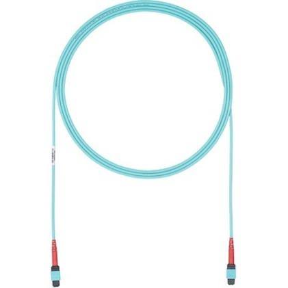 Fiber Optic Network Cable - 41 ft F99052