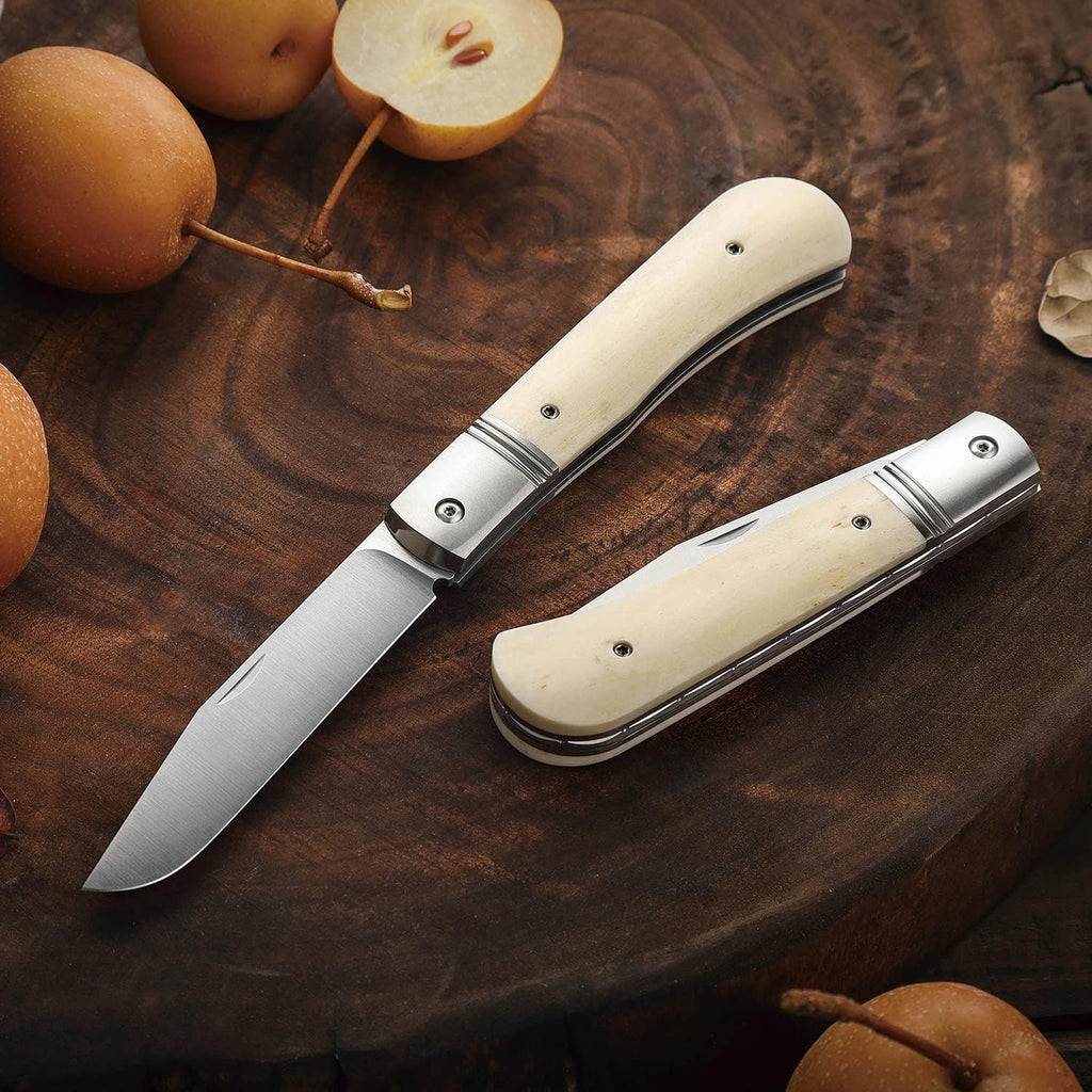 Folding Pocket Barlow Knife with Leather Sheath, 3in Bohler M390 Steel Blade, TC4 Ti Alloy & OX Bone Handle F677