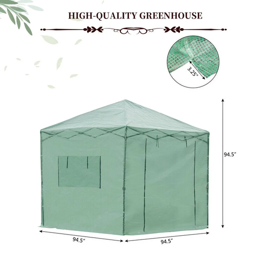 8'x8' Pop-up Walk-in Greenhouse with PE Cover J534