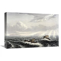 Canoe Art Print R512