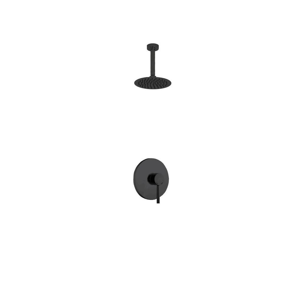 Matte Black 8 inch Rain Shower Head Shower Set D154018
