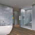 Chrome Frameless Hinged Shower Door E642
