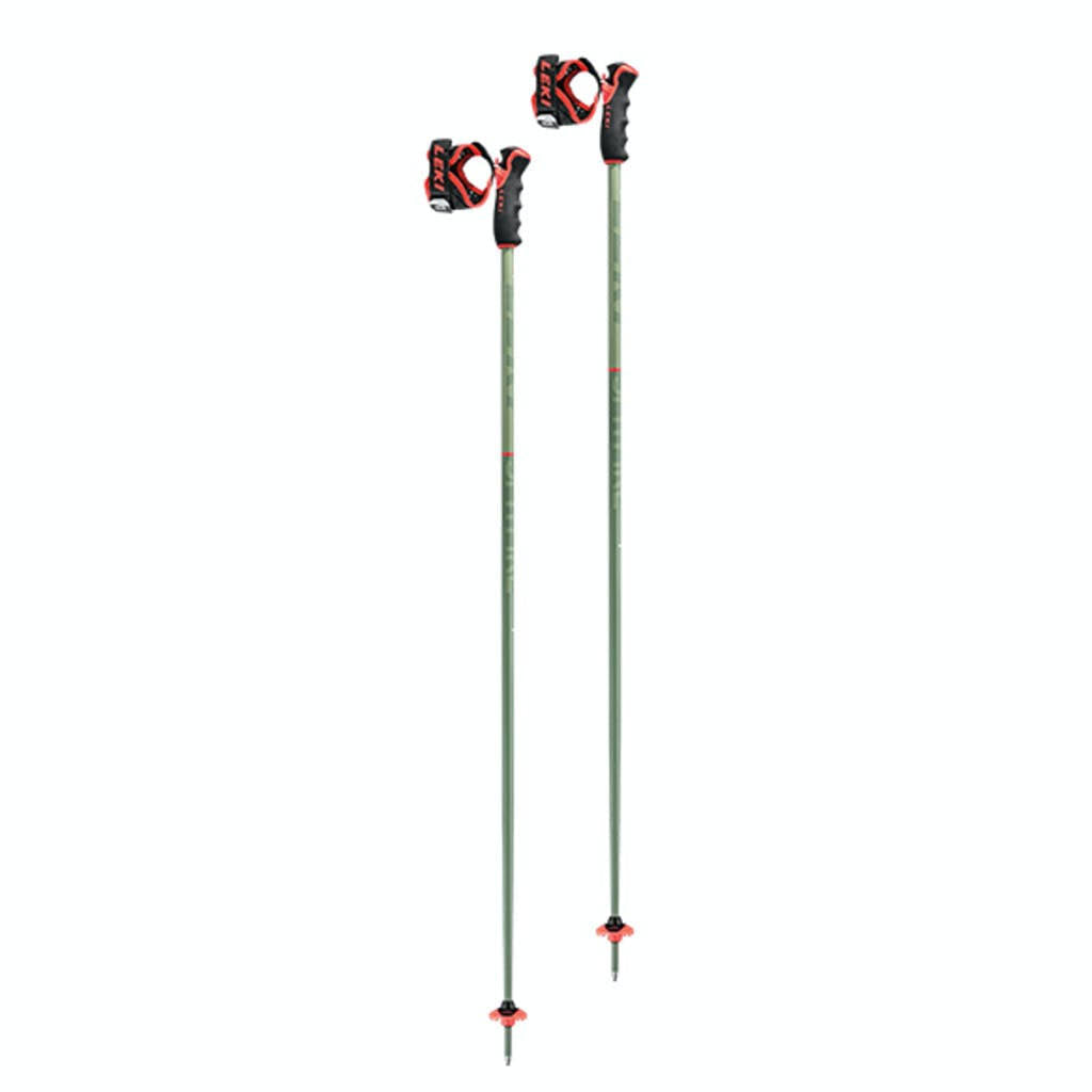 Ski Poles Q619