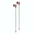 Ski Poles Q619