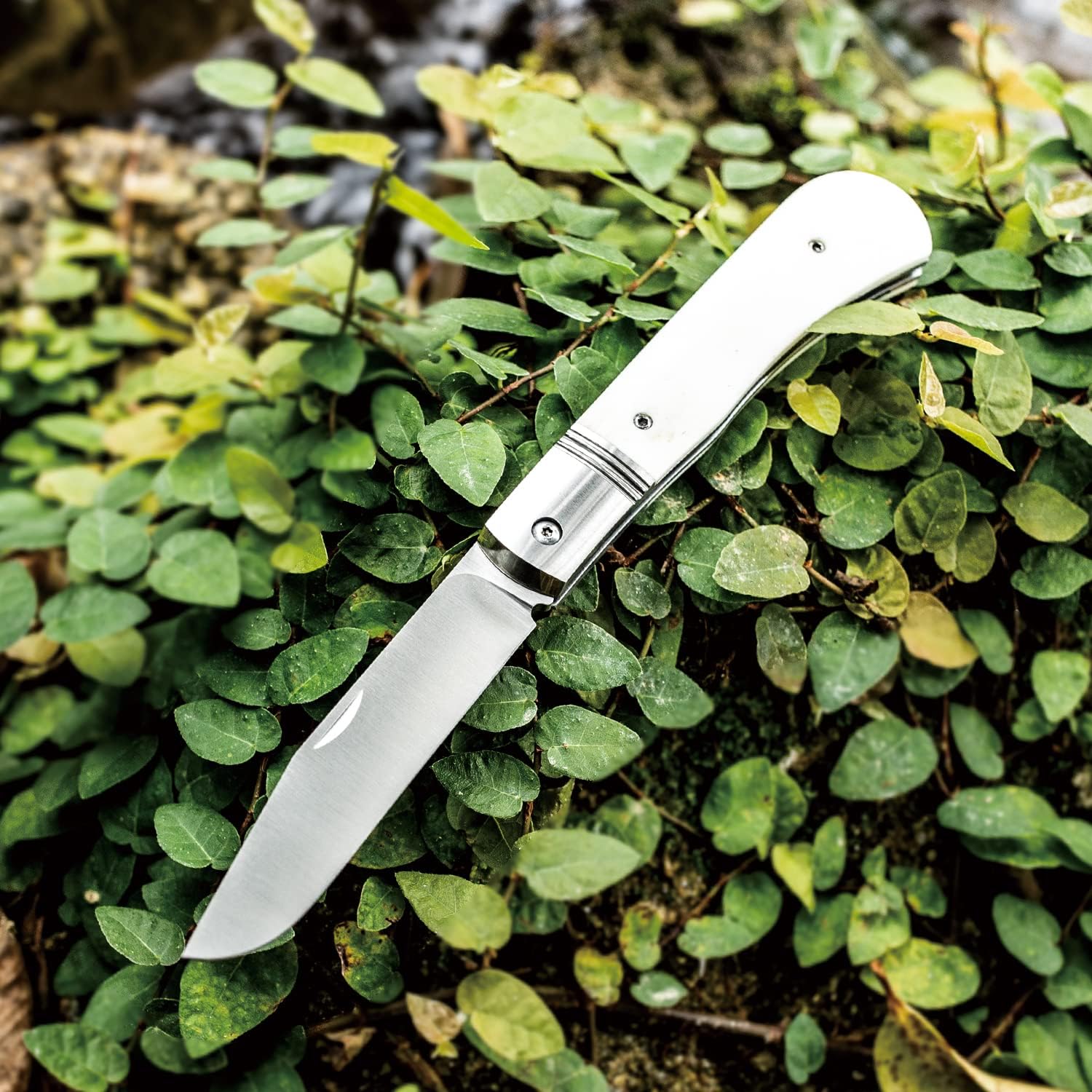 Folding Pocket Barlow Knife with Leather Sheath, 3in Bohler M390 Steel Blade, TC4 Ti Alloy & OX Bone Handle F677