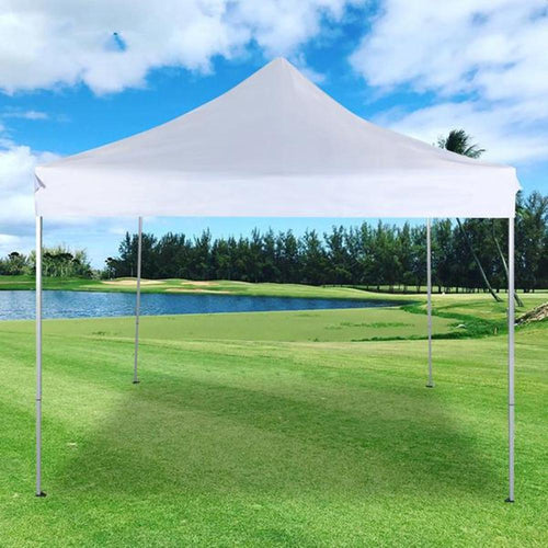 10' x 10' Pop Up Canopy Tent D341819