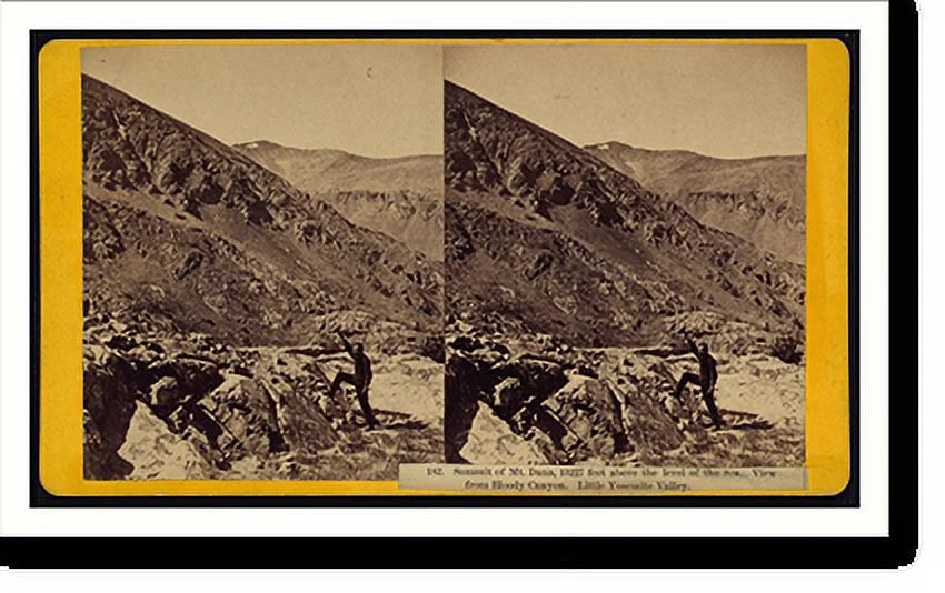 Framed Print, 17-7/8" x 21-7/8" Z6295