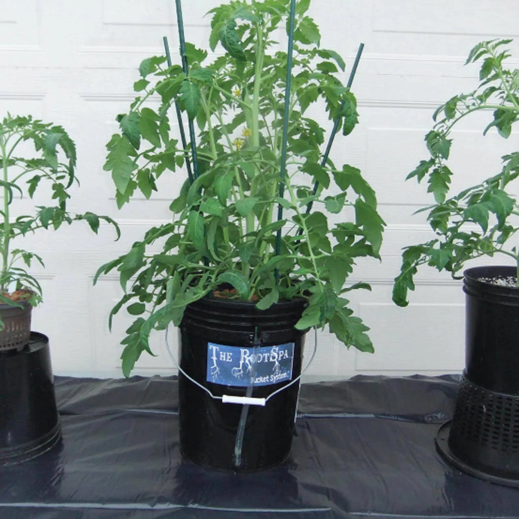 4 Pack 5 Gallon Hydroponic Bucket System Grow Kit V9933