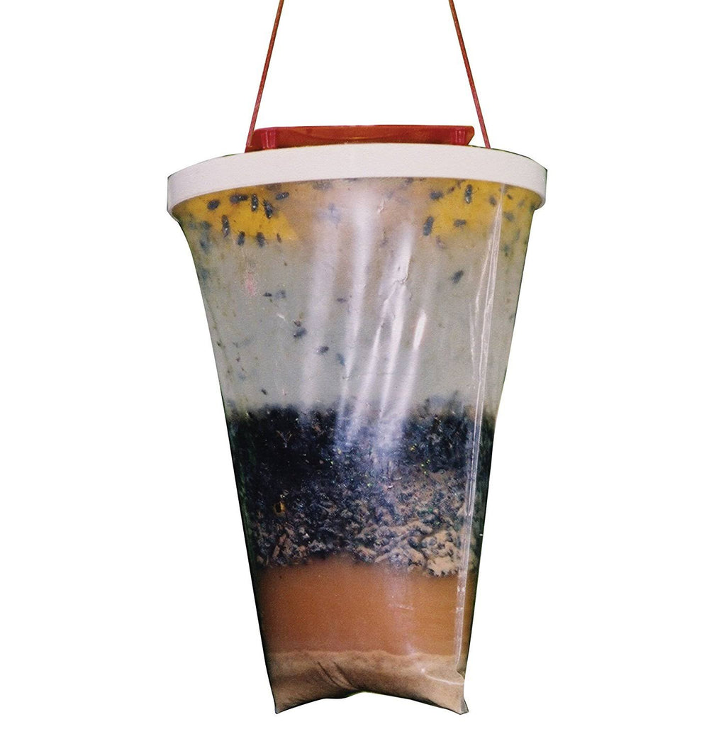 Non Toxic Fly Trap (12-Pack) I938